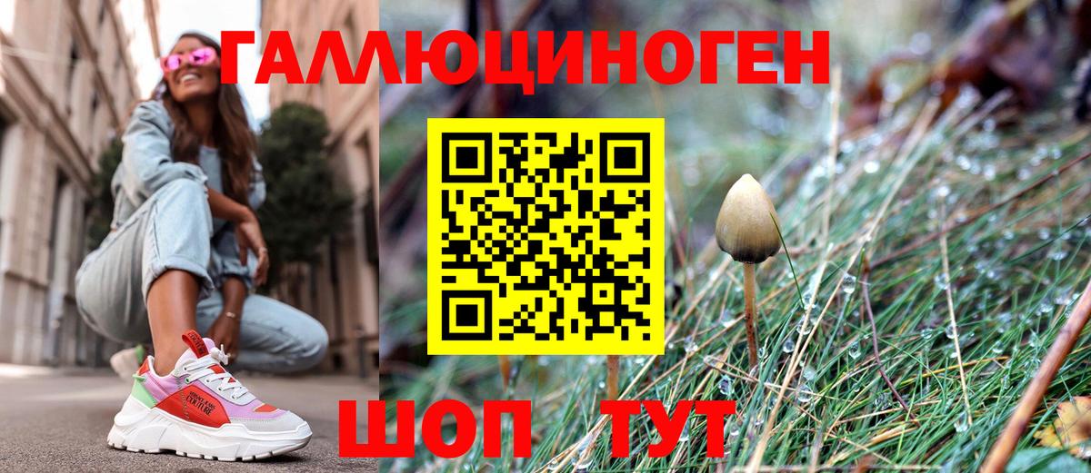 Галлюциногенные грибы Psilocybine cubensis  Псилоцибиновые грибы MAGIC MUSHROOMS  Заринск  Вход с VPN 