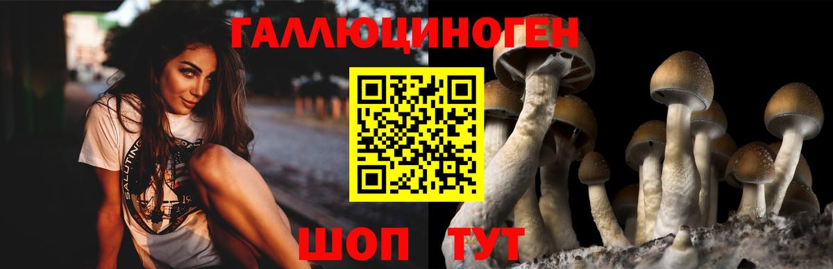 Галлюциногенные грибы GOLDEN TEACHER Заринск